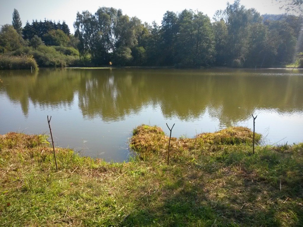 Ried zwischen Friltschen, Märwil und Buch b.M. im Thurgau (Naturschutzgebiet)