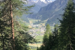 IMG_2784