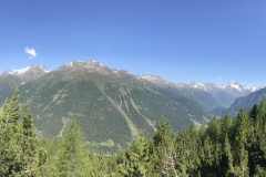 IMG_6354