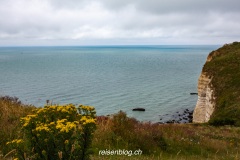 Die Klippen von Étretat-5225