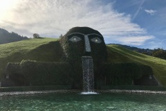 IMG_E8231