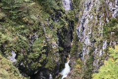 IMG_7965