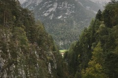 IMG_7967