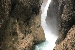 IMG_7986