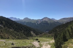 IMG_7315