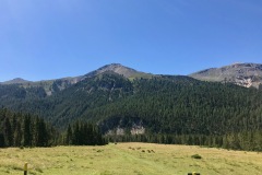 IMG_E7296