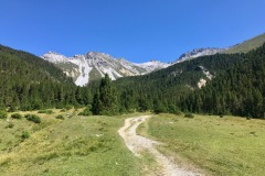 IMG_E7299