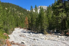 IMG_E7301
