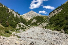 IMG_E7345