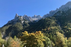 IMG_E8156