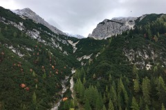IMG_8106