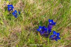 Reisenblog-2231