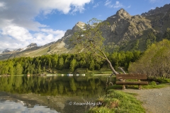 Reisenblog-2483 Reisenblog-2483