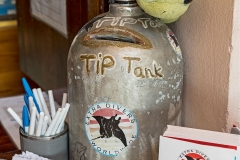 Reisenblog-20 Reisenblog-20