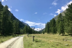 IMG_2770