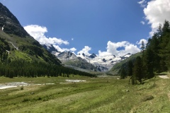 IMG_6667