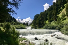 IMG_8741