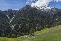 Irgendwo im Val Sinestra