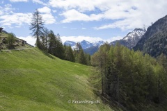 Val_Sinestra-3234