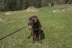 Val_Sinestra-3248
