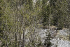 Val_Sinestra-3265 Val_Sinestra-3265
