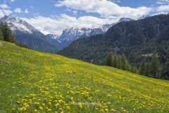 Val_Sinestra-3290 Val_Sinestra-3290