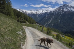 Val_Sinestra-3307 Val_Sinestra-3307