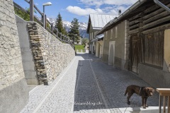 Val_Sinestra-3320 Val_Sinestra-3320