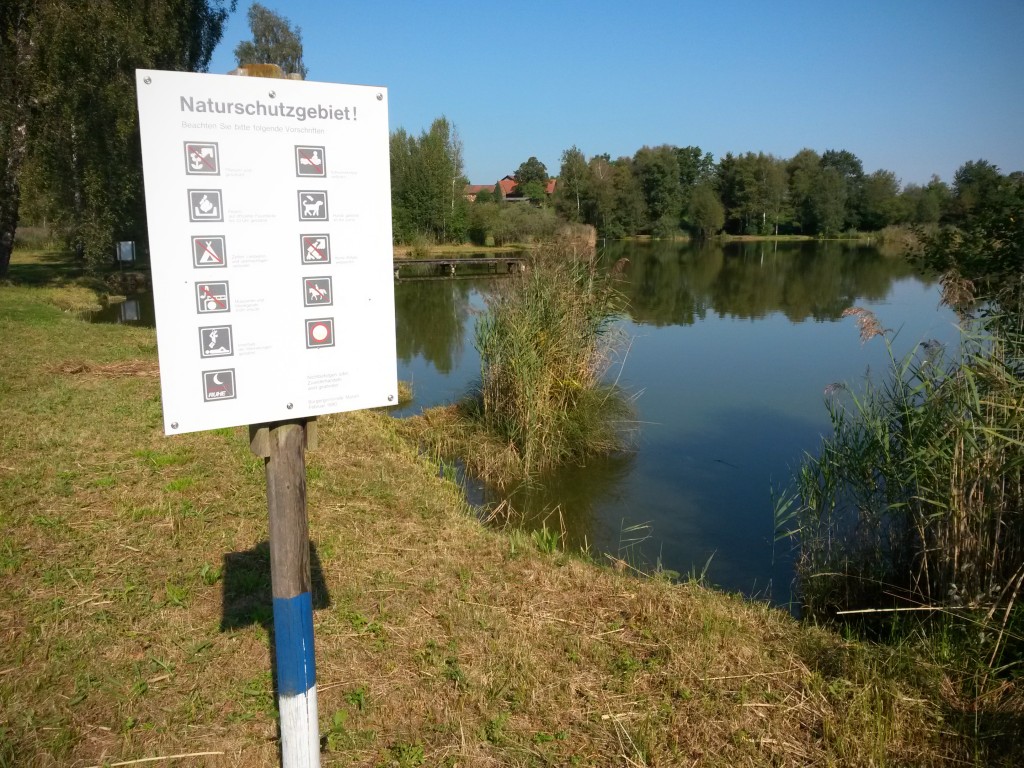 Informationstafel - Ried zwischen Friltschen, Märwil und Buch b.M. im Thurgau (Naturschutzgebiet)